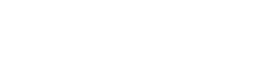 Disabled Veterans National Foundation Logo.