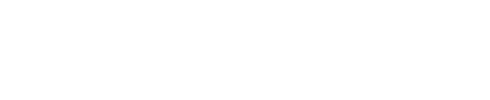 The Aksel Nielsen Foundation Logo