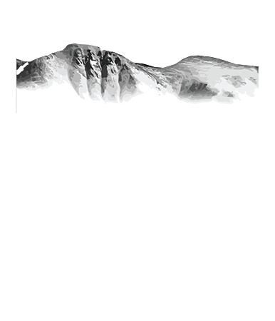 The Real Estate Company Logo.