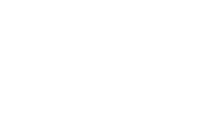 VF Foundation Logo