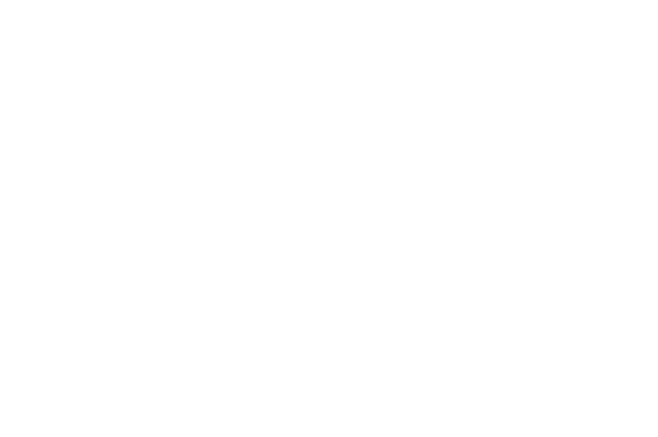 Waner Costruction Logo.