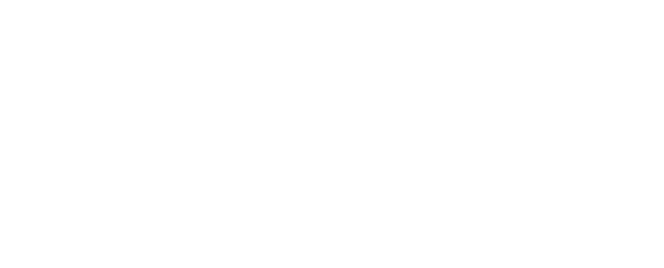 Wells Fargo Foundation Logo